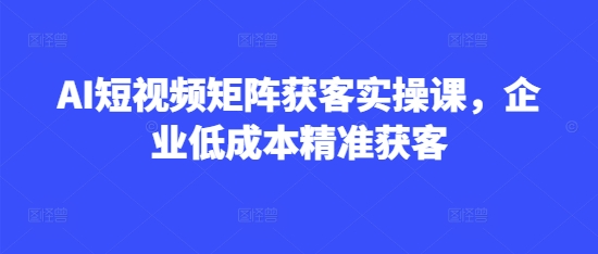 AI短视频矩阵获客实操课，企业低成本精准获客-创富笔记