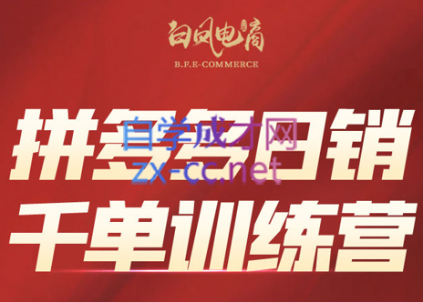 白凤电商·拼多多日销千单训练营(更新6月)-创富笔记