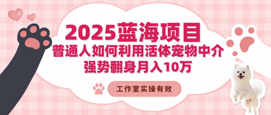 2025蓝海项目：普通人如何利用活体宠物中介，强势翻身月入10万-创富笔记