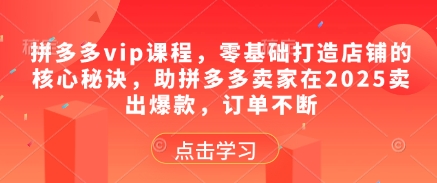 拼多多vip课程，零基础打造店铺的核心秘诀，助拼多多卖家在2025卖出爆款，订单不断-创富笔记