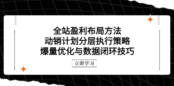 全站盈利布局方法：动销计划分层执行策略，爆量优化与数据闭环技巧-创富笔记