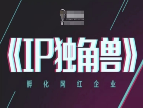IP独角兽，孵化网红企业，ip教程-创富笔记