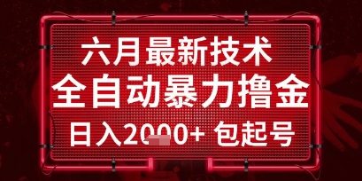 六月最新技术全自动暴力撸金，稳定日入2k+包起号，长期稳定【揭秘】-创富笔记