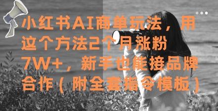 小红书AI商单玩法，用这个方法2个月涨粉7W+，新手也能接品牌合作(附全套指令模板)-创富笔记