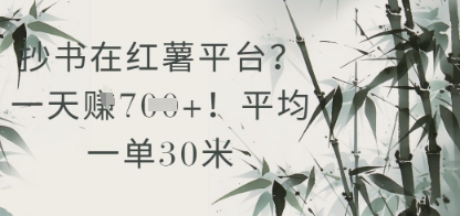 抄书在小红薯平台？平均一单30米，一天收益几张！-创富笔记