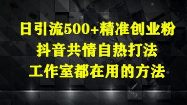 日引流500+精准创业粉，抖音共情自热打法，工作室都在用的方法-创富笔记