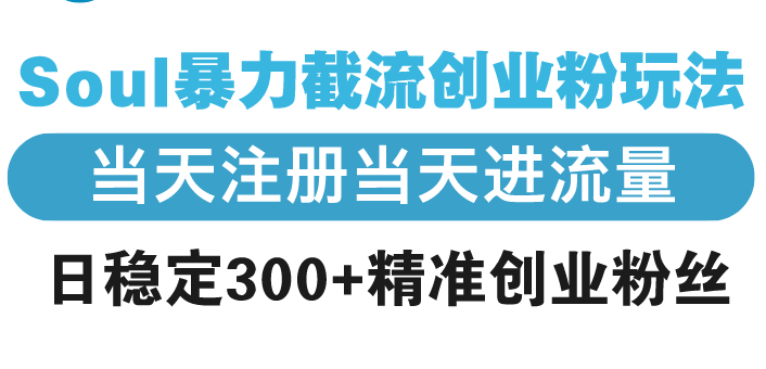Soul暴力截流创业粉玩法，当天注册当天进流量，日稳定300+精准创业粉丝-创富笔记