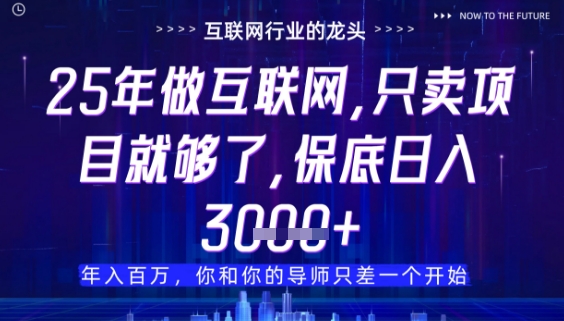 什么！25年你还在找项目做？风口早就变了，卖项目才是稳挣不赔【揭秘】-创富笔记