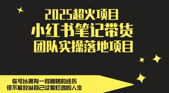 2025超火项目，副业最佳选择，小红书笔记带货团队实操落地项目，，轻松日入5张-创富笔记