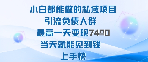 2025年小白都能做的私域项目引流负债人群最高一天变现1k+高变现难度低当天就能见到钱上手快-创富笔记