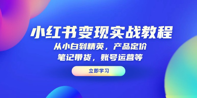 小红书变现实战教程：从小白到精英，产品定价，笔记带货，账号运营等-创富笔记