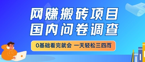 网创搬砖项目，国内问卷调查，小白轻松上手，一天三四张的也不难，干就完了【揭秘】-创富笔记