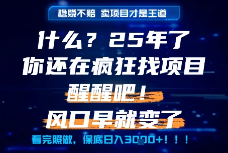 什么?25年你还在疯狂找项目做,醒醒吧,看完这些你全都懂了!【揭秘】-创富笔记