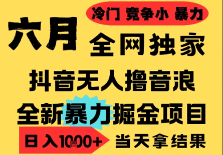 25年6月高爆抖音无人直播最新撸音浪掘金项目，小白可做，无脑日入1k+，门槛低可批量矩阵【揭秘】-创富笔记