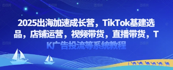 2025出海加速成长营，TikTok基建选品，店铺运营，视频带货，直播带货，TK广告投流等系统教程-创富笔记