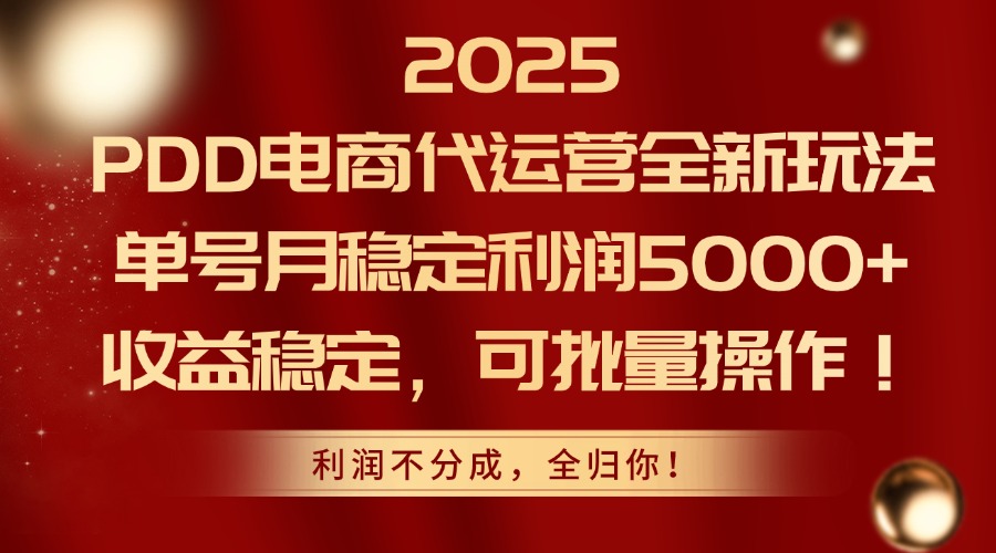 2025PDD电商代运营全新玩法，单号月稳定利润5000+，收益稳定，可批量操作-创富笔记