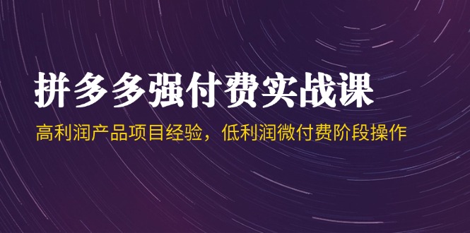 拼多多强付费实战课-44期，高利润产品项目经验，低利润微付费阶段操作-创富笔记