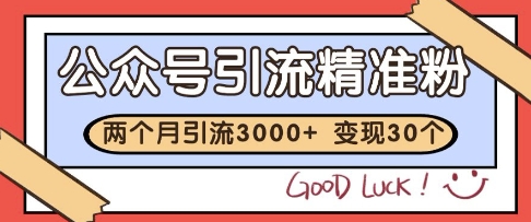 公众号精准粉引流玩法，2个月3000+精准粉，变现30个W【揭秘】-创富笔记