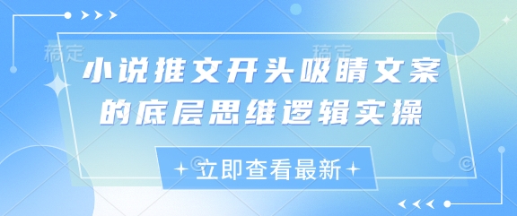 小说推文开头吸睛文案的底层思维逻辑实操-创富笔记