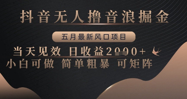 抖音无人撸音浪掘金，五月最新风口项目，当天见效，日收益多张，小白可做简单粗暴可矩阵【揭秘】-创富笔记