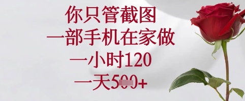 你只管截图，一部手机在家可以做，一小时120.一天5张+【揭秘】-创富笔记