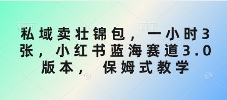 私域卖壮锦包，一小时3张，小红书蓝海赛道3.0版本， 保姆式教学-创富笔记