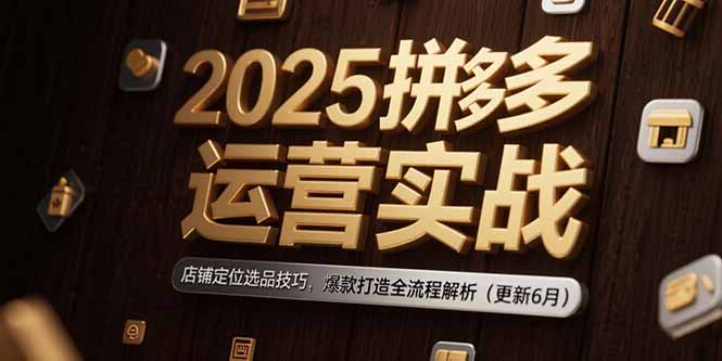 2025拼多多运营实战：店铺定位选品技巧，爆款打造全流程解析(更新6月-创富笔记