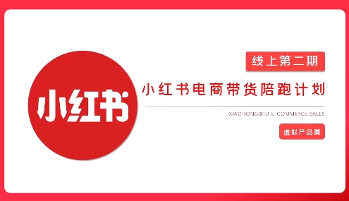2025小红书虚拟电商实战课-创富笔记