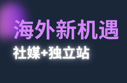 棕榈·2025出海新机遇(社媒+独立站)-创富笔记