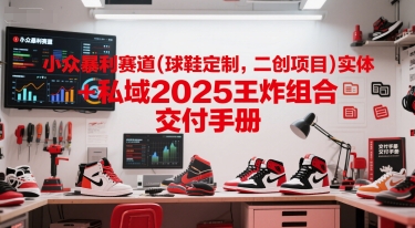 小众暴利赛道(球鞋定制，二创项目)实体+私域2025王炸组合  交付手册-创富笔记