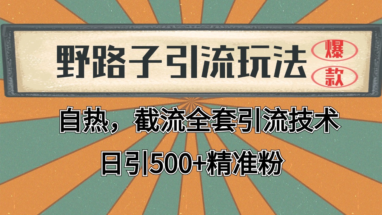 2024首发野路子引流玩法截流自热全平台打法，全自动引流【日引2000+精准客户】-创富笔记
