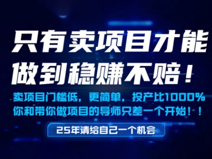 只有卖项目才能做到稳挣不赔，门槛低，更简单，你也可以年入百个W【揭秘】-创富笔记