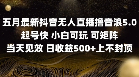 2025五月最新无人直播撸音浪单日产出5张+实操教程【揭秘】-创富笔记