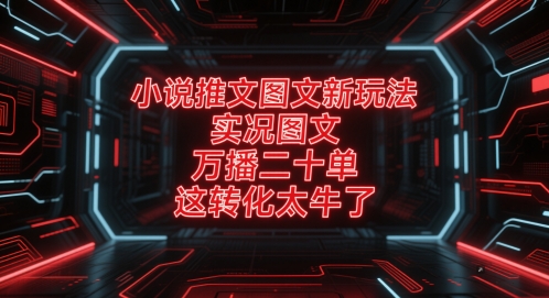 小说推文图文新玩法，实况图文，万播二十单，这转化太牛了！-创富笔记