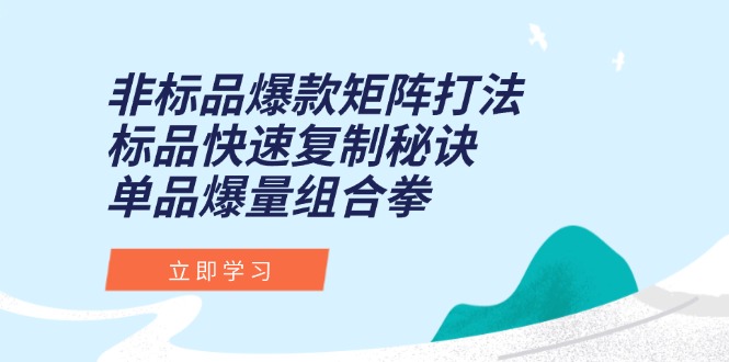 非标品爆款矩阵打法，标品快速复制秘诀，单品爆量组合拳-创富笔记