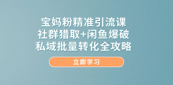 宝妈粉精准引流课，社群猎取+闲鱼爆破，私域批量转化全攻略-创富笔记
