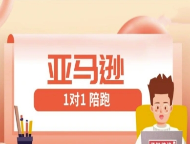 亚马逊1对1陪跑课(FBA/FBM精铺)跨境亚马逊教程-创富笔记