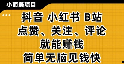 小而美的项目，抖音小红书B站视频点赞、关注、评论就能挣钱，简单无脑立见收益，妥妥的零撸项目【揭秘】-创富笔记