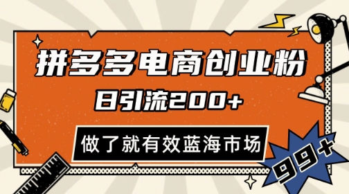 拼多多引流电商创业粉，日引200+，可矩阵放大，做了就有效【揭秘】-创富笔记